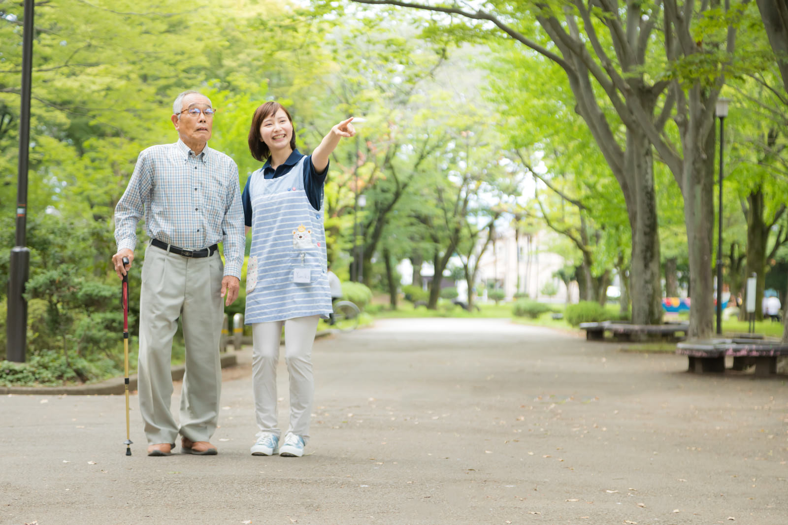 散歩付き添い